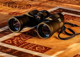 can-you-train-to-be-a-spy-web
